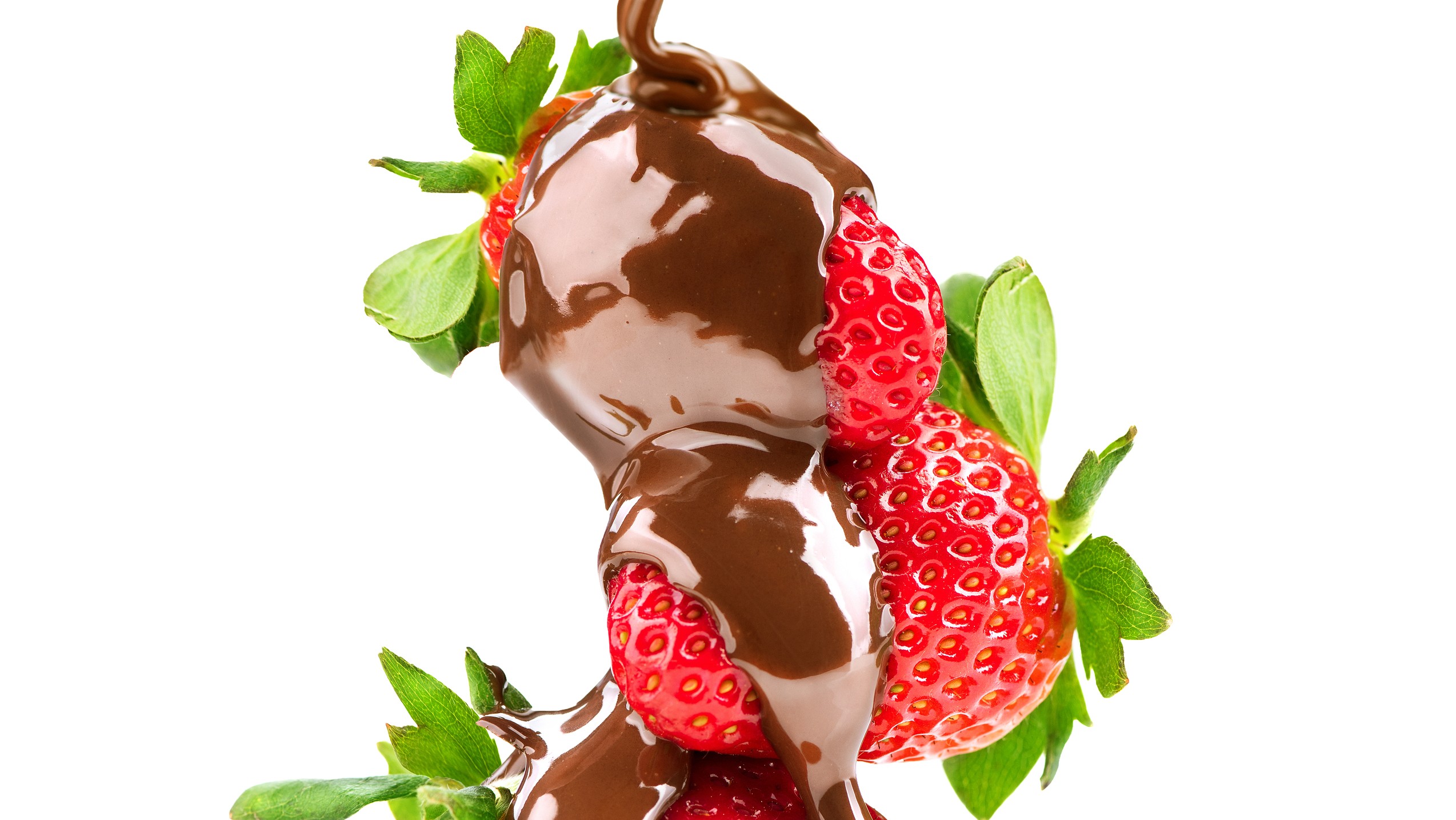 Strawberries in chocolate isolated on white background. Melted Chocolate pouring on fresh ripe juicy strawberry close up. Dessert. Gourmet food, fondue