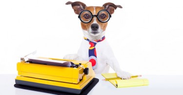 WEB-bigstock-Secretary-Typewriter-Dog-89575508