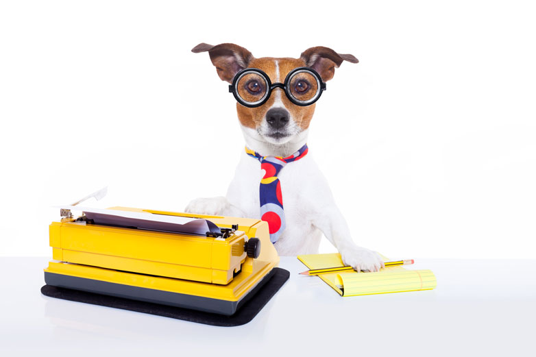 WEB-bigstock-Secretary-Typewriter-Dog-89575508