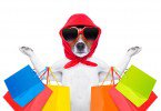 WEB-bigstock-Shopping-Dog-86058941