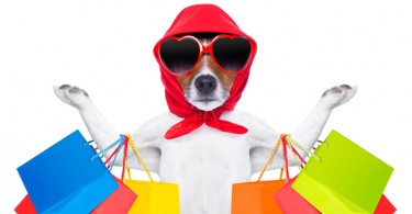 WEB-bigstock-Shopping-Dog-86058941