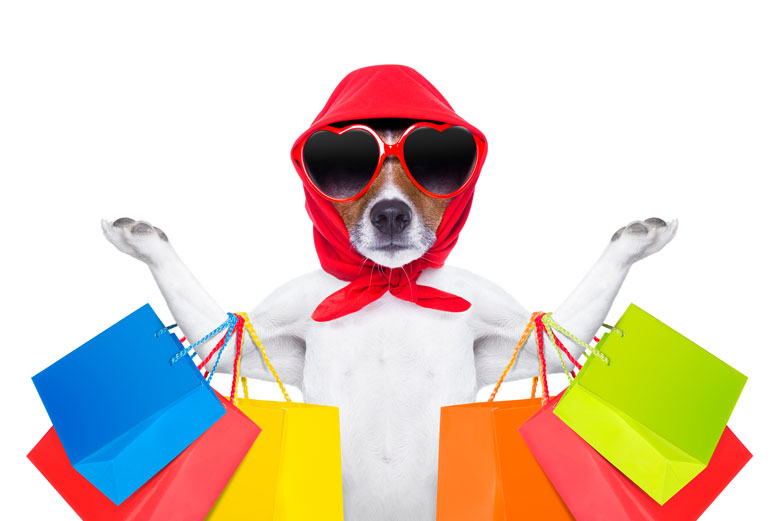 WEB-bigstock-Shopping-Dog-86058941